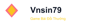 vnsin79.com Logo